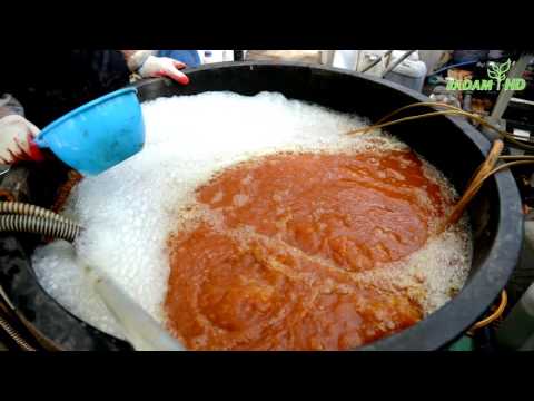 12. Control techniques for various fungi and pests (latest lectures on key technologies for high ...