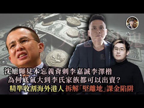 應該學蘋果日報黎智英被討厭的勇氣，見到葉國華沈旭暉馮智政集團要直斥其非！ 揭破沈旭暉多年來給了多少海外黃絲課金養虎為患 - 快閃拆解經濟【FDB Asset Management 特約贊助】
