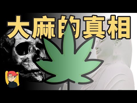 【大麻的真相】是毒品？還是神賜之物？大麻合法化又是如何？｜有祐  U_NoKnow
