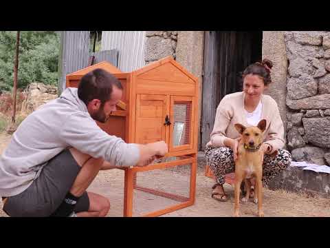 A New Coop and Making Tomato Soup from our Garden