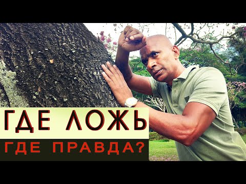 ПАРАМ НЕ СТАЛ ЖДАТЬ ПОКА НЕВЕСТА ПОДРАСТЕТ