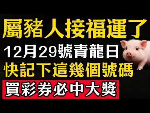 生肖豬必看!12月29號「青龍日」,農曆十一月初十,偏財運旺,這4個數字一定要記牢,買彩券可中大獎,幸運連連!#張天師道法#屬相運勢#生肖#家運#生肖運勢的那些事#先知#風水變化#提升運勢