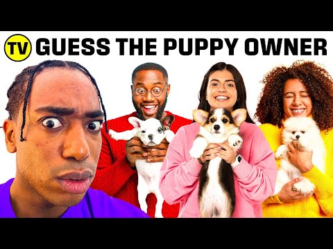 Match The Puppy To Its Owner | Kevin Langue