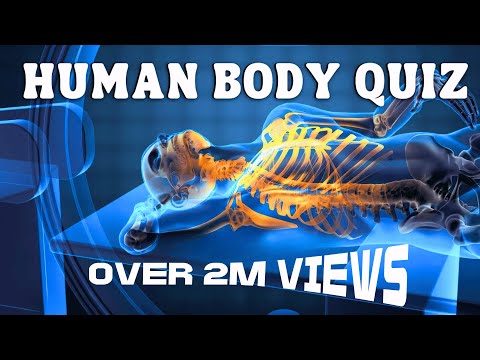 2 Million+ Views: Can YOU Pass the Human Body Quiz?