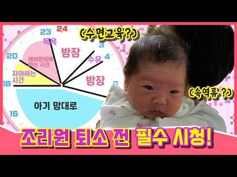 신생아 케어의 모든 것(배앓이, 수유량 증량, 수면교육, 속역류, 놀아주기)
