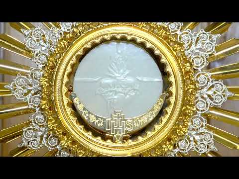 Adoración Eucarística en silencio. Una hora con el Señor expuesto🔥¡Dios me llena de Vida!