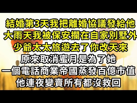 結婚第3天我把離婚協議發給他,大雨天我被保安攔在自家別墅外,少爺太太旅遊去了你改天來,原來取消蜜月是為了她,一個電話商業帝國蒸發百億市值,他連夜變賣所有都沒救回#復仇 #逆襲 #爽文