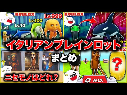 "The Evolution of Italian Brainrot" and "Brainrot Quiz" all released at once! [Compilation/Comple...