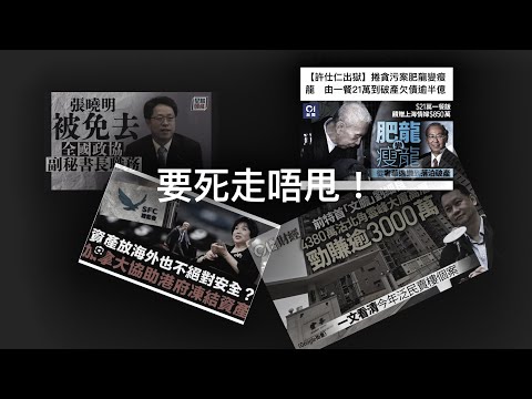 要死走唔甩，甚至死咗都走唔甩？證監會「梁鳳儀案」及其他「萬不同集」310.5 2024.06.07