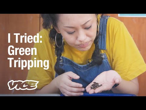 How Flies and Leftover Bread Are Helping Create a More Sustainable Future in Singapore