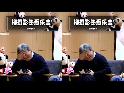 柳摄影师认识乐宝比宋爷爷还早 #睿宝辉宝 #爱宝双胞胎