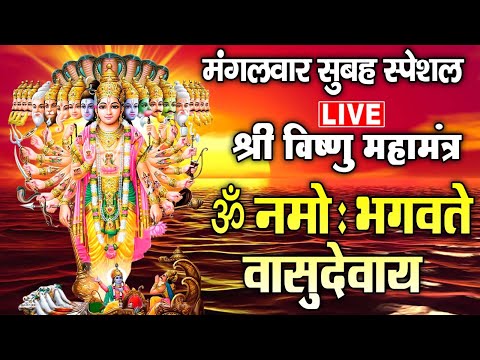 LIVE : श्री विष्णु महामंत्र - ॐ नमो भगवते वासुदेवाय - Om Namo Bhagavate Vasudevaya - Vishnu Mantra