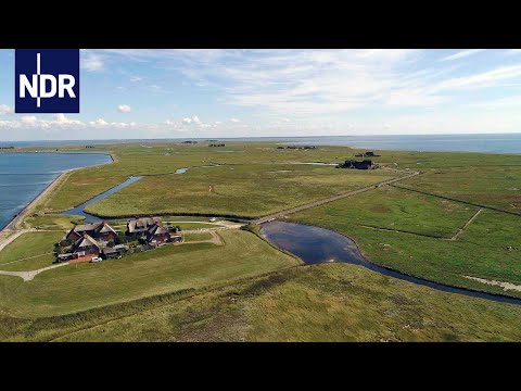 Wir alle sind Hooge | NDR