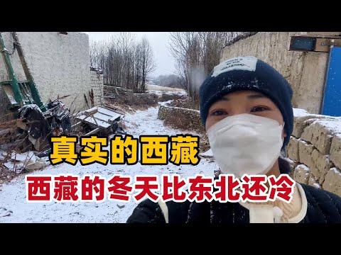 西藏的冬天比东北还冷，为何没有人抱怨过？超级环保的保暖方式就是藏族人的智慧【白玛卓玛】