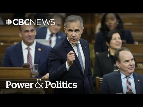 Conservatives, NDP weighing how to vote on upcoming federal budget | Power & Politics