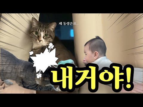 [Vlog] 달리누나와의 대결승부‼️🥊