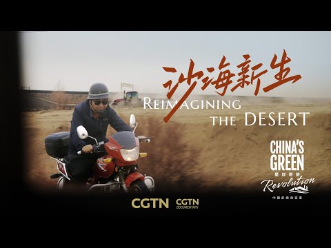 Desert defenders and the making of China's Great Green Wall | China's Green Revolution EP1