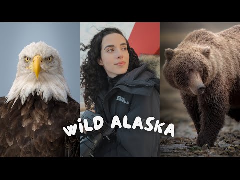 18 Days in Alaska Vlog: Journeying down Alaska’s Inside Passage from Nome to Vancouver for Wildlife