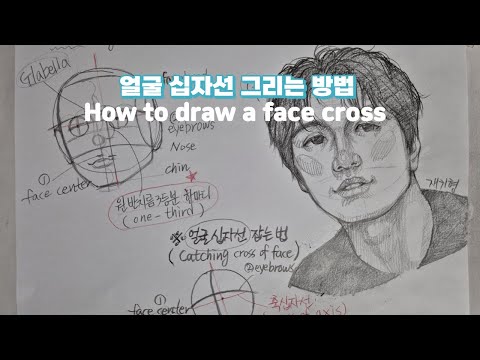 얼굴 십자선 그리는 방법 / 얼굴 그리기의 첫 걸음 /초보자를 위한 알기 쉬운 루미스 기법