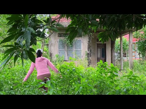 Beautiful girl cuts overgrown grass at abandoned house 17 years after old man passed away