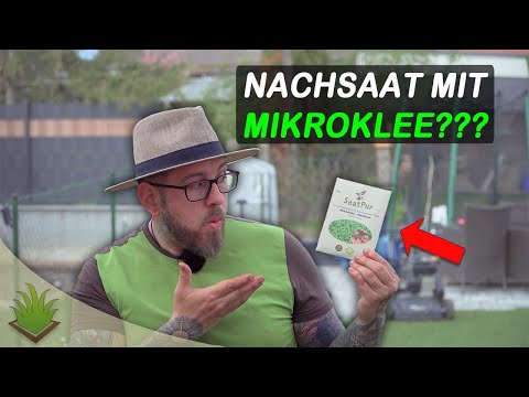 Ist Mikroklee die Antwort für eine Nachhaltige Rasenpflege?