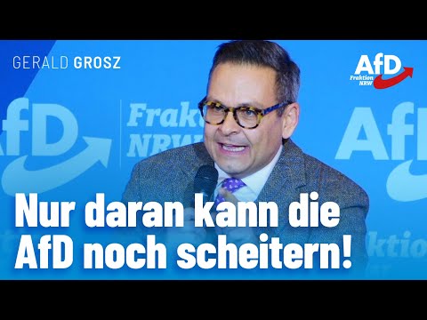 Nur daran kann die AfD noch scheitern! – Gerald Grosz