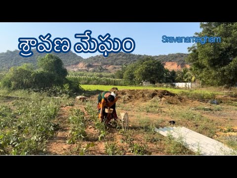 Nature Life @sravanamegham