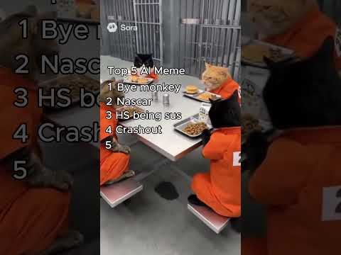 Sora Top 5 Ranked Meme