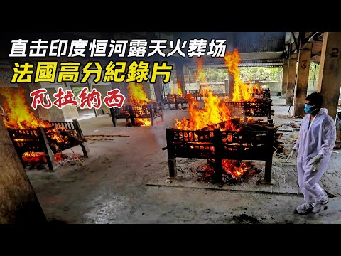 India Wants To Use Flesh Eating Turtles To Rid The Ganges Of Decomposing Bodies