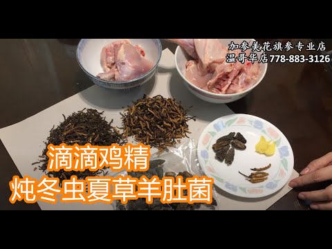 滴滴鸡精炖冬虫夏草汤—【Maybel话你知】Pure chicken Essence soup stew Cordyceps and Morels