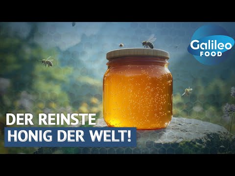Flüssiges GOLD! Der reinste Honig der Welt kommt von dieser Insel! | Galileo Food