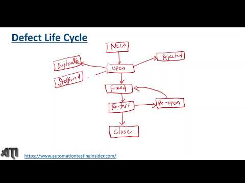 Defect/Bug Life Cycle