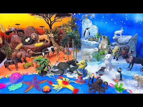 Explore 4 Worlds: Savannah, Arctic, Jungle & Ocean Animals! 🦁❄️🌊🌴