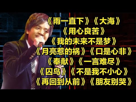 好听老歌《雨一直下》《大海》《用心良苦》《我的未来不是梦》