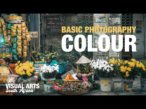 Basic Photography | Beginner Color: Before and after you Shoot.