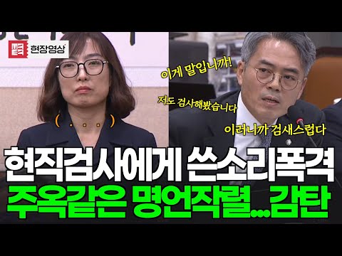 전직 특수부검사가 현직검사에게 쓴소리 폭격!!! "이러니까 검새스럽다고 하는 겁니다"