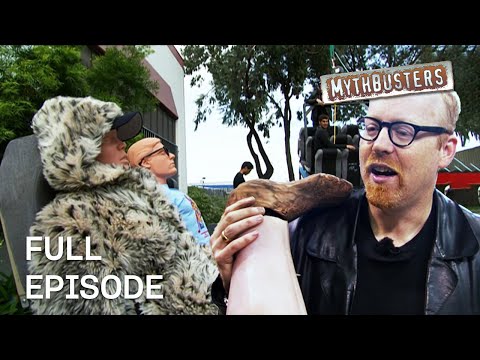 Testing The Killer Brace Position! | MythBusters | Season 2 Episode 20 | Full Episode