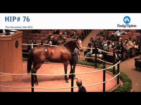Havre de Grace sells for $10,000,000 at Fasig-Tipton November Sale