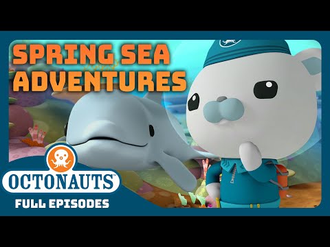 ​@Octonauts - 🌸 Fun Spring Sea Adventurers! 🐬 |  30 Mins+ Full Episode Marathon