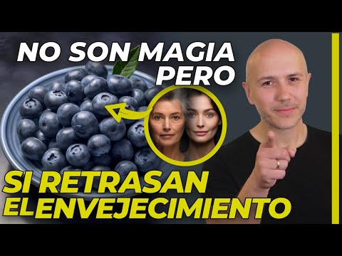 LOS ARÁNDANOS, UN SUPER ALIMENTO LLENO DE BENEFICIOS  | EL PODER DE LOS ANTIOXIDANTES PARA LA SALUD