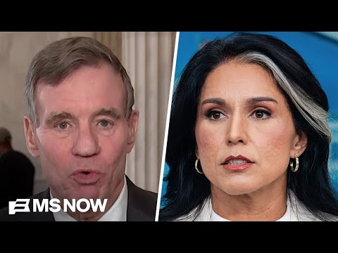 Why Sen. Warner says Gabbard may have 'violated her responsibility as DNI' in Georgia