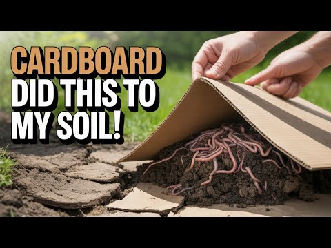 I Stopped Buying Worms When I Discovered This Simple Cardboard Trick