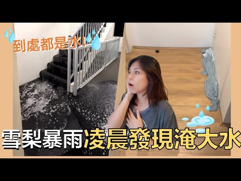 澳洲生活🇦🇺雪梨暴雨居然讓家裡淹水了!! My apartment was flooded in the Sydney rain storm｜Kuvarica東歐媳婦艾莉莎 vlog