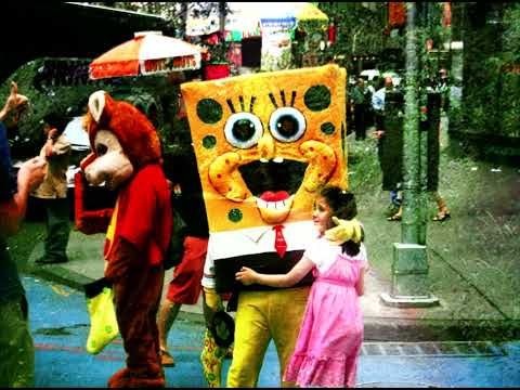 Who Could Win A Rabbit?