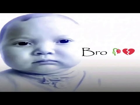 MEMES THAT MADE ME REGRET EVERYTHING