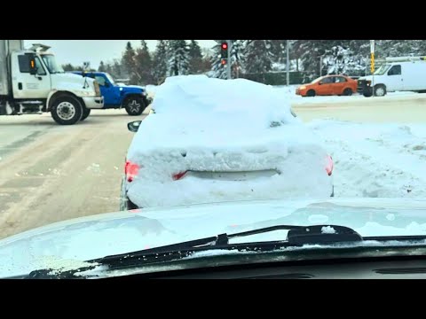 Idiots In Cars 378 (Last of 2025)