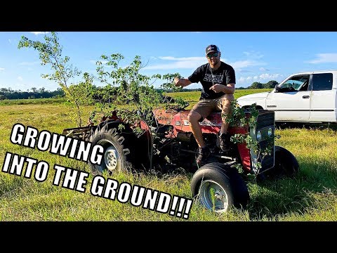 WILL IT START Episode 3! Massey Ferguson 240