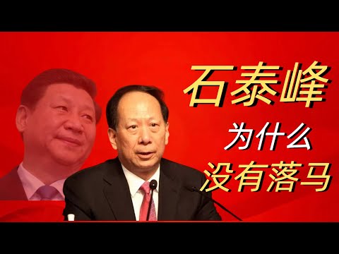 中组部长石泰峰为什么没有落马？他如何在江胡习三个家族之间周旋？中共“党校系”是怎样形成的？他是如何成为权力最大的统战部长的？二十一大上他的前途如何？石泰峰｜中组部｜习近平｜二十一大