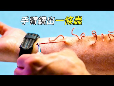 手臂裡鑽出一條蟲，變成怪物將男人吞了進去，科幻，奇幻，電影，解說，獵奇，懸疑，冒險，怪獸，超能力