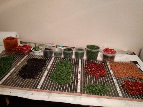 Теплый пол для сушки зелени и пастилы!